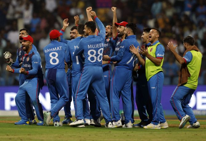 Rashid Khan celebrates with teammates after taking the wicket of Marcus Stoinis. 