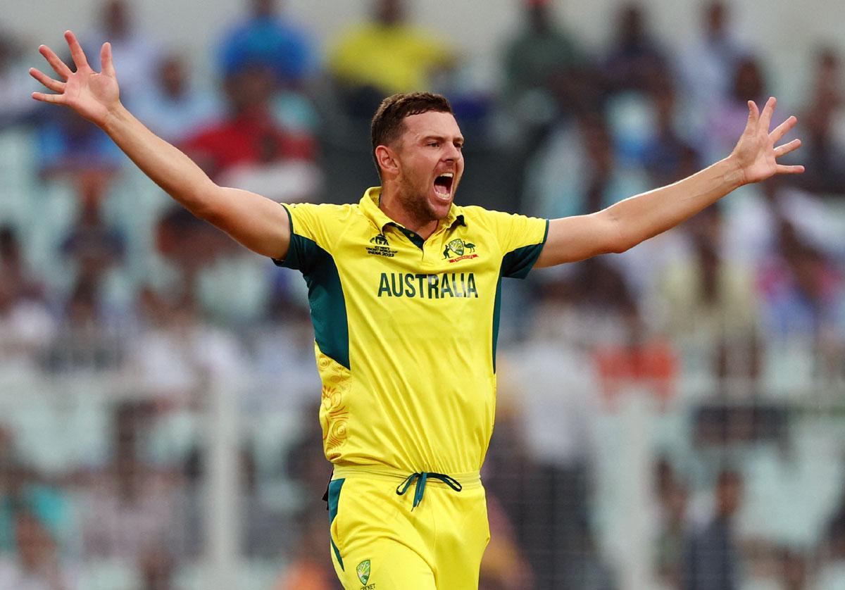 Josh Hazlewood appeals