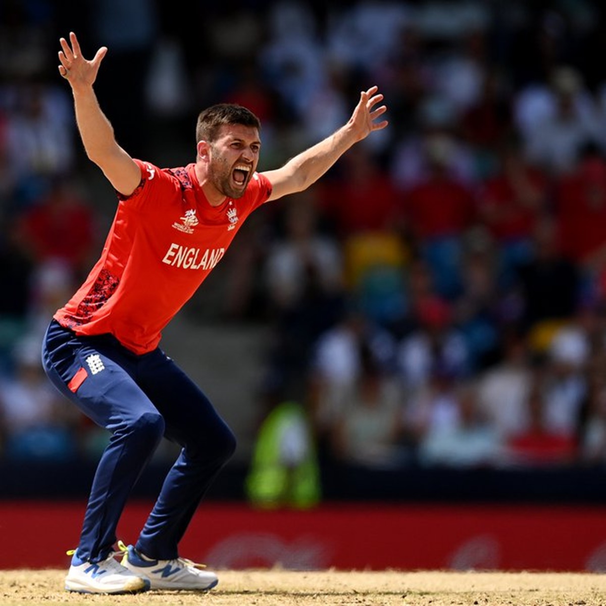 Mark Wood celebrates having Zeeshan Maqsood caught and bowled with his first delivery.