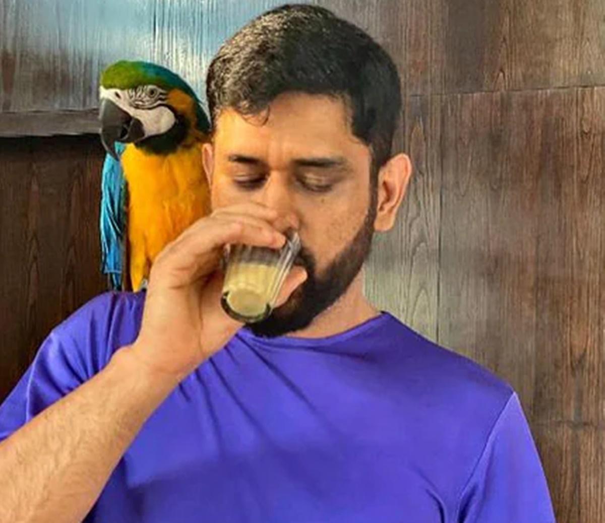 MS Dhoni