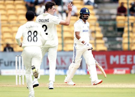 William O'Rourke celebrates the wicket of K L Rahul