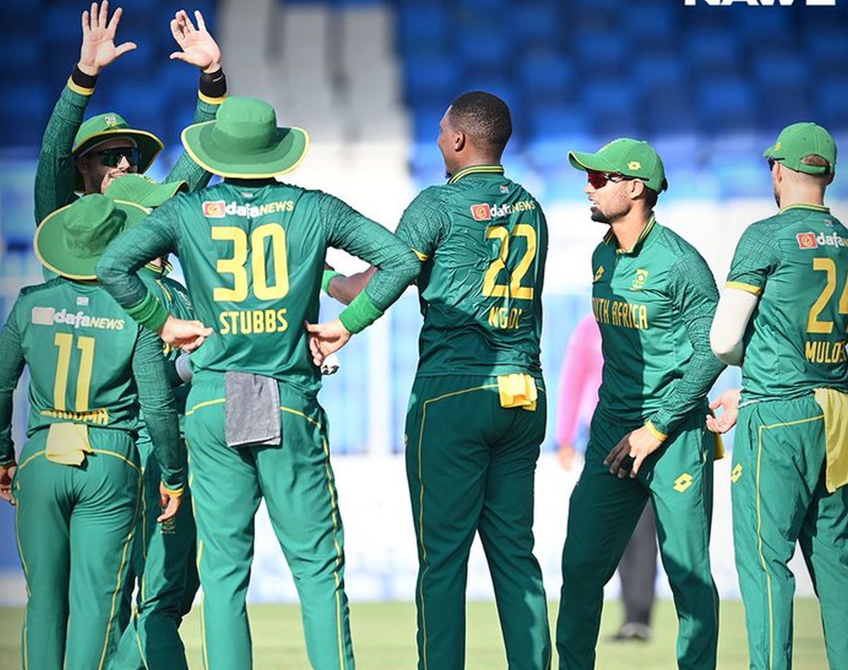 South Africa's players celebrate a wicket