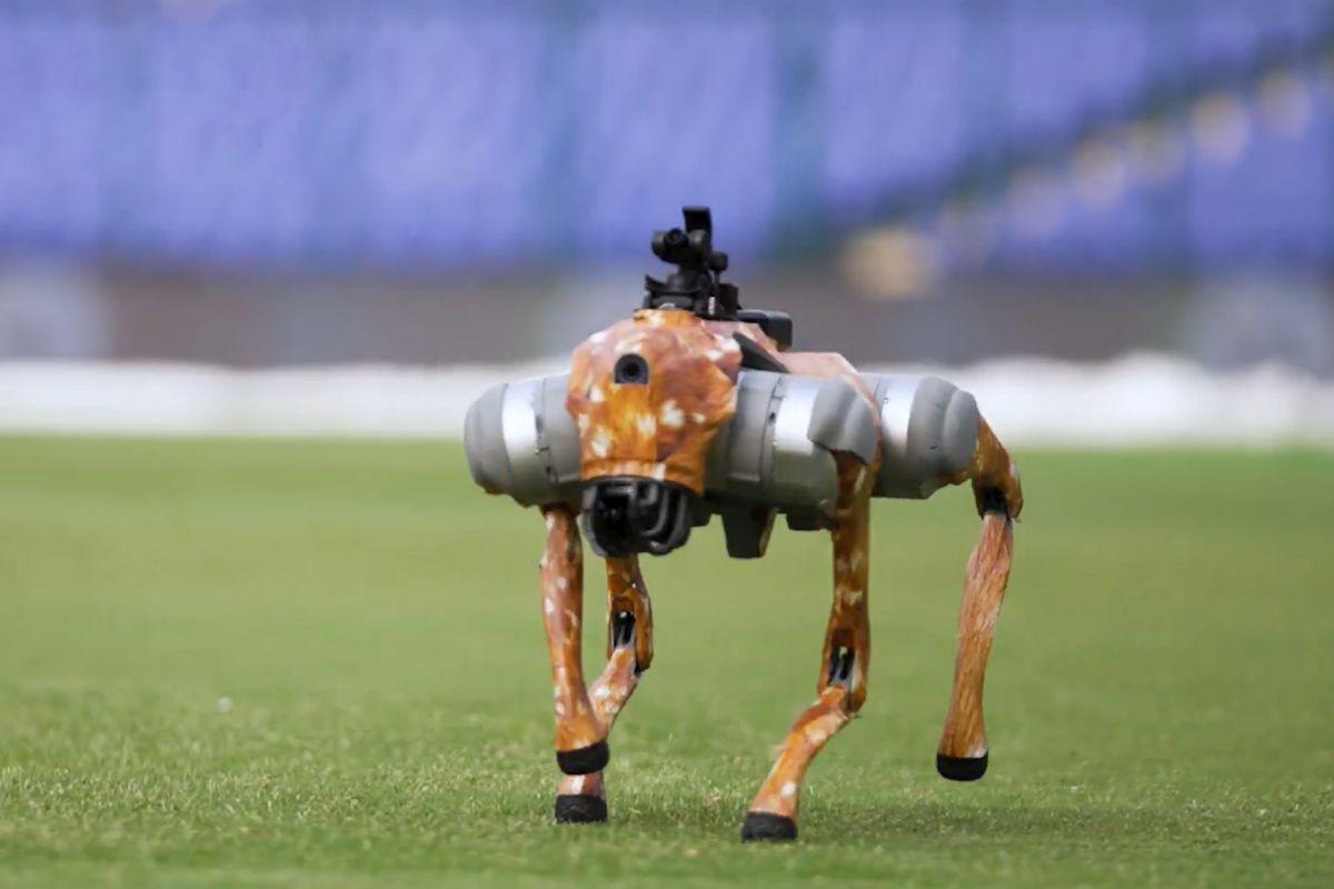 IPL's latest showstopper -- the robot dog