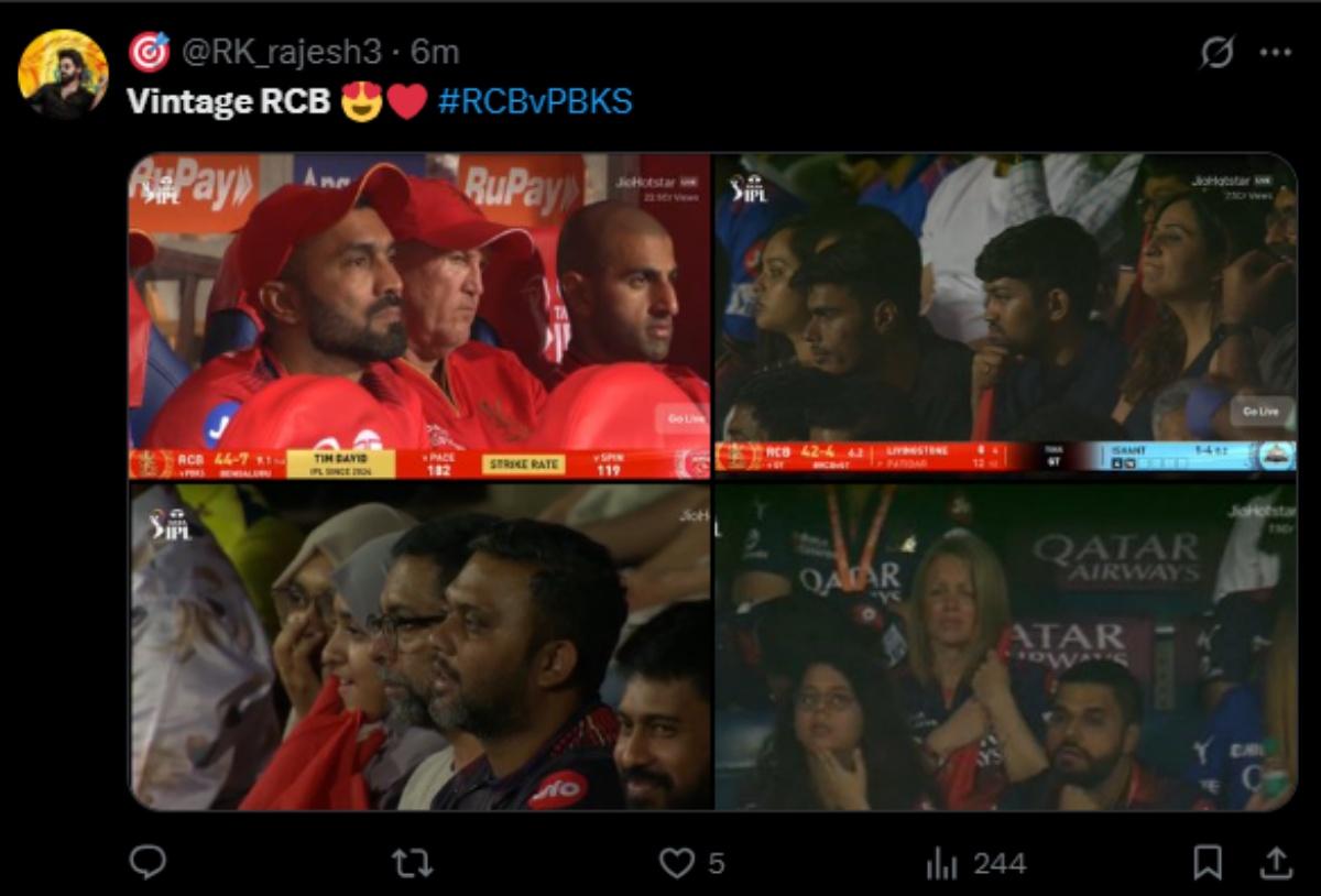 RCB fans RCB fans