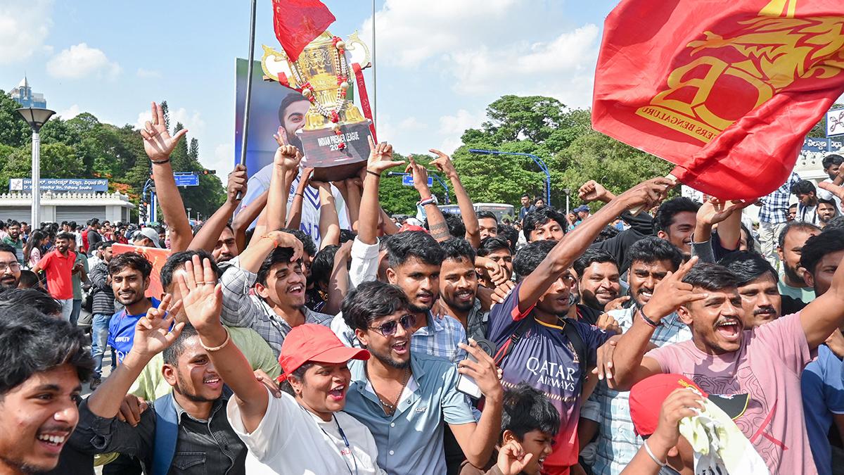 RCB stampede RCB stampede