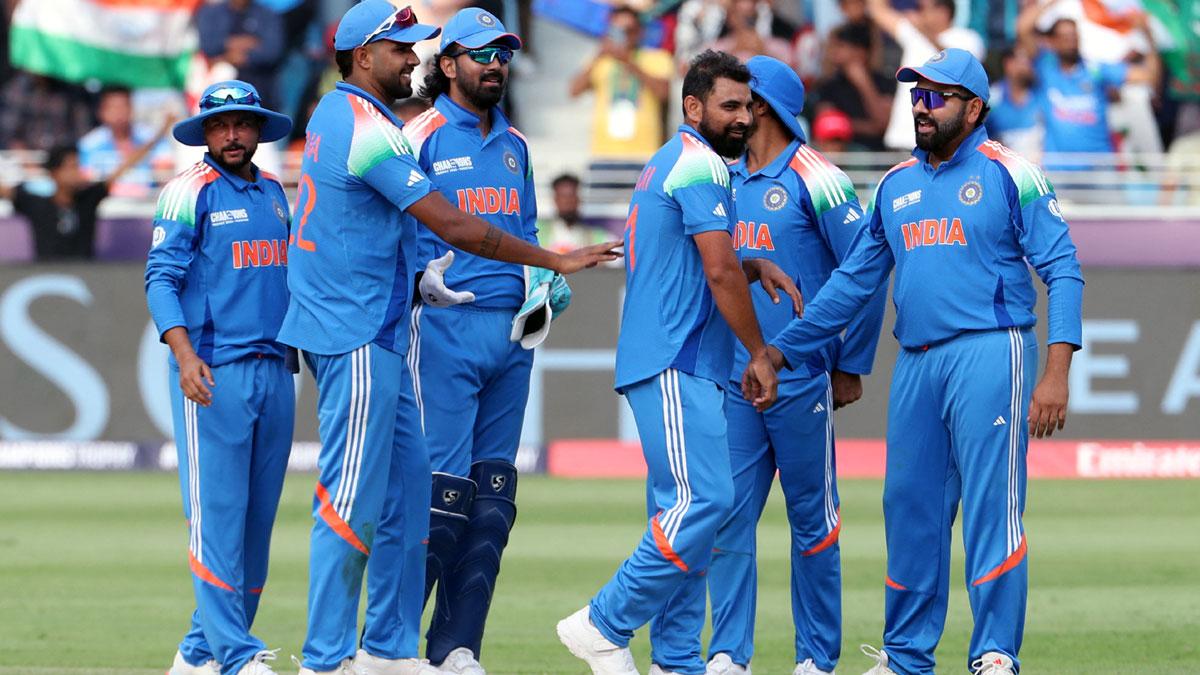 India's players celebrate a wicket