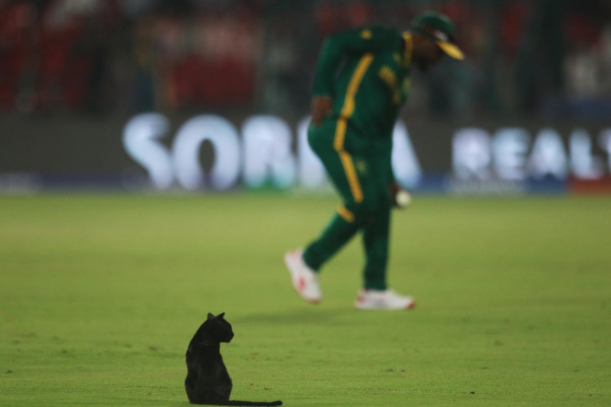 The black cat at National Stadium in Karachi