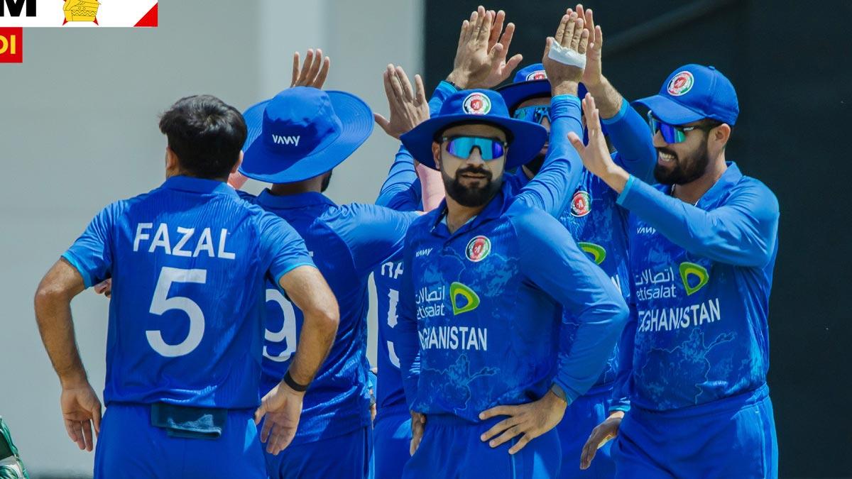 Afghanistan players celebrate a wicket