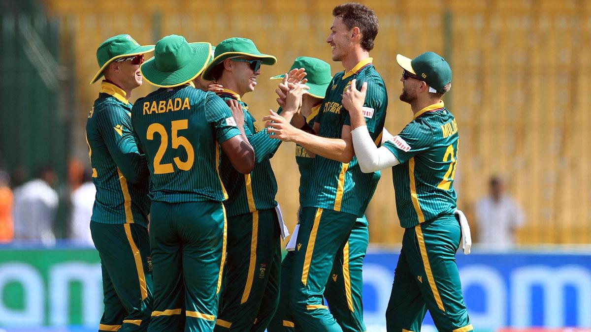 South Africa's players celebrate a wicket