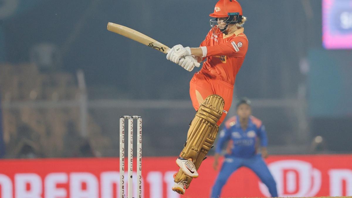 Phoebe Litchfield Phoebe Litchfield