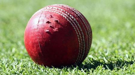 Cricket ball