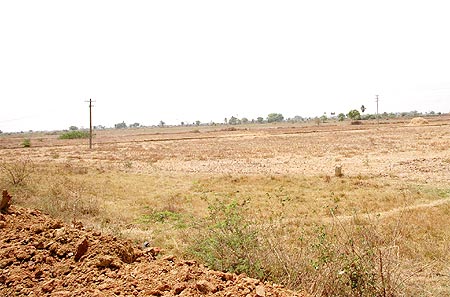 Parched land is a common sight in Tiruvallur