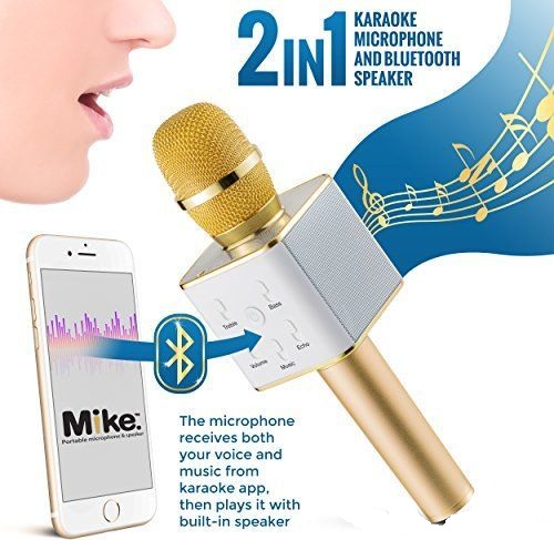 Karaoke Mic