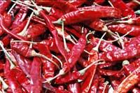 Chillies