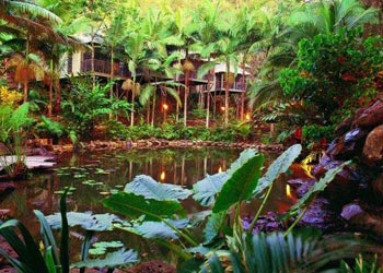 Daintree Eco Lodge & Spa, Queensland, Australia