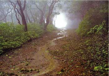 Diwali destinations: Hiking trails and tranquil lakes