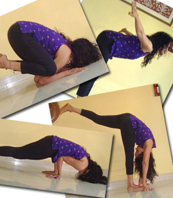 25. [Workplace] Yoga With Goga Pick of the Week: Benu Bird Pose | Benvasana  | Flapping off this amazing bird-themed month of #WorkplaceYoga is  #Benvasana or the #BenubirdPose, a kneeling forward bend