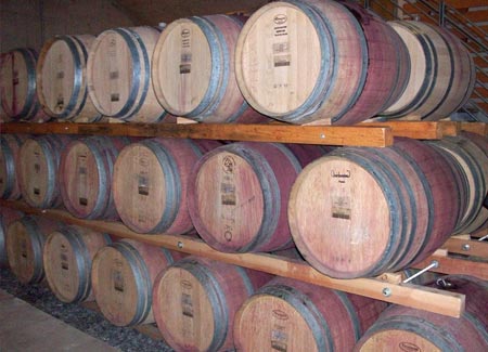 Casks where the wines mature