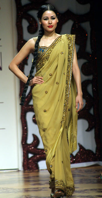 Classic sari