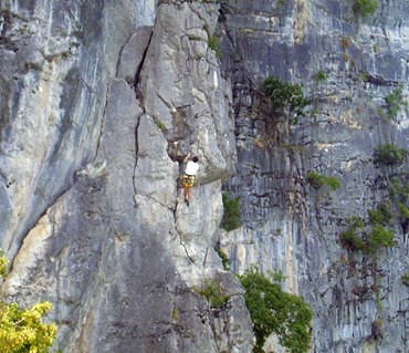 Rock climbing at Maya Bay