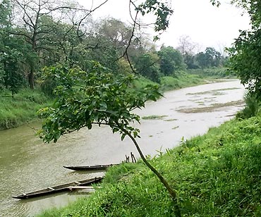 River Dipholu, Assam