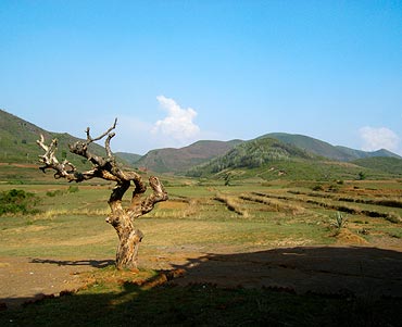 Araku Valley, Andhra Pradesh