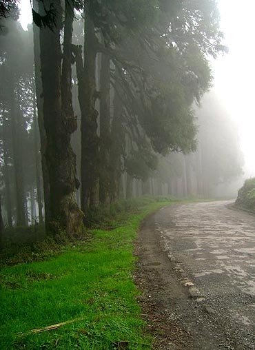 Darjeeling, West Bengal.