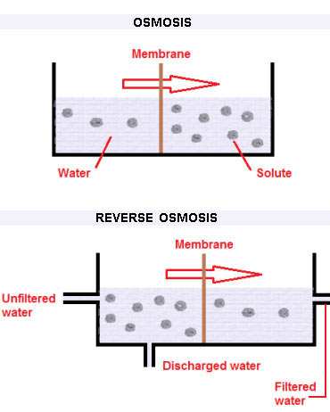 Osmosis and Reverse Osmosis processes