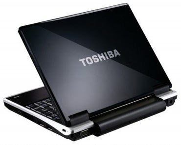 Toshiba NB250 A1110 (PLL2PG-00301S)