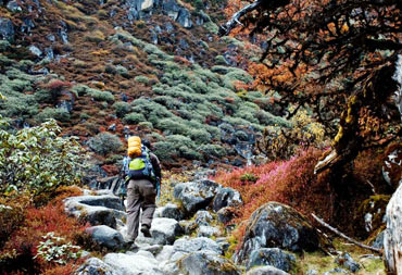 A trail on the Goecha La trek, Sikkim