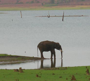 Kabini Wildlife Sanctuary, Karnataka