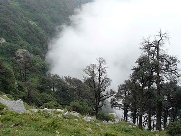Triund, McleodGanj, Himachal Pradesh