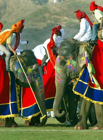 Participants sitting atop elephants play polo during the Elephant Festival in Jaipur.