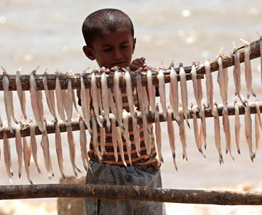 The child of a fisherman stands next to fish being dried on a beach in Mumbai.