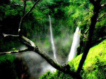 Thoseghar waterfalls near Satara in Maharashtra.