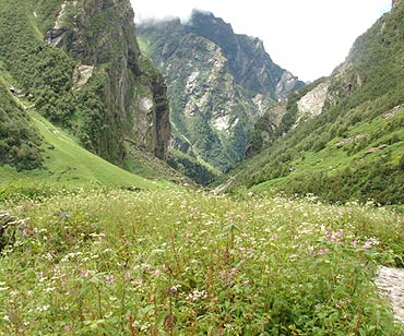 Valley of Flowers, Uttaranchal