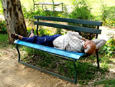 Unusual summer pics: Snoozing on a park bench!