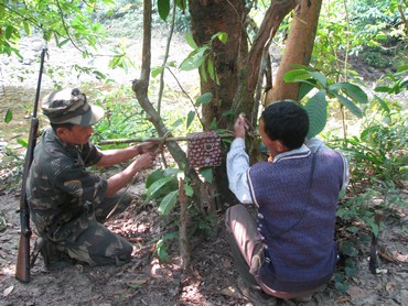 Camera traps being set up during a tiger sign survey