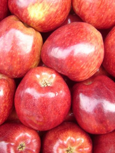 The pectin in apples lowers cholesterol