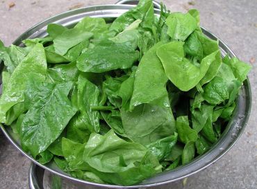 The potassium and folic acid in spinach prevent high BP