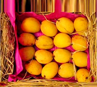 A crate of Indian mangoes