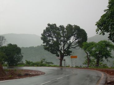 Picturesque rainy road
