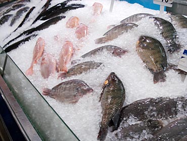 6. One should not consume fish in this season