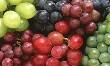 Antioxidants in fruits