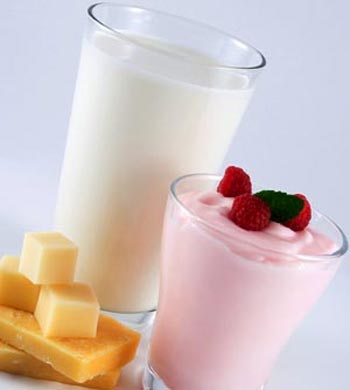 Example of 1 serving of milk and milk products