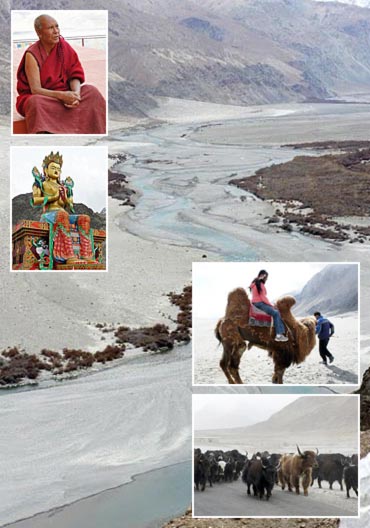 Travel: A camel ride on top of the world