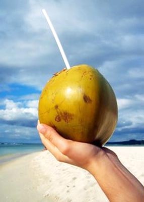 Coconut water is a refreshing summer cooler