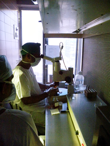 Graafian follicle fluid collected is examined in the adjoining lab to count the eggs