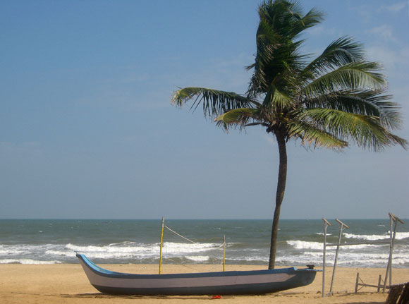 A view of Coromandel Coast is seen near the city of Chennai.