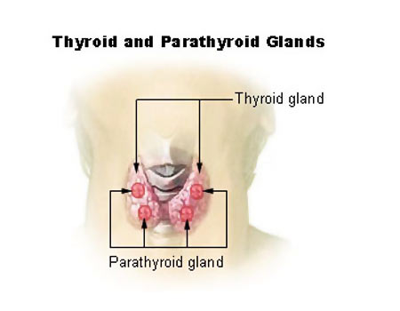 What is the best treatment for controlling thyroid problems?
